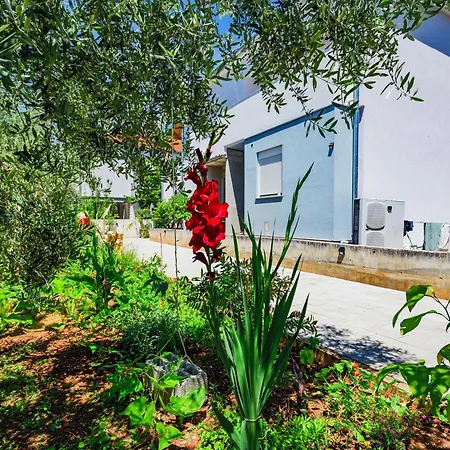 Tena Jadera זאדאר