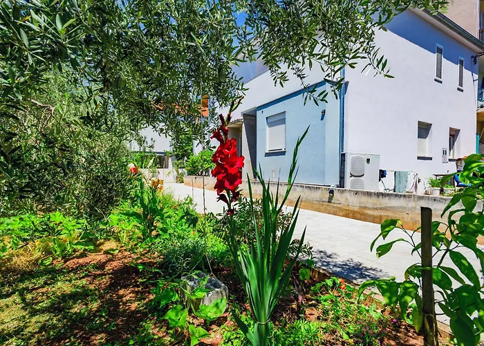 Tena Jadera Zadar